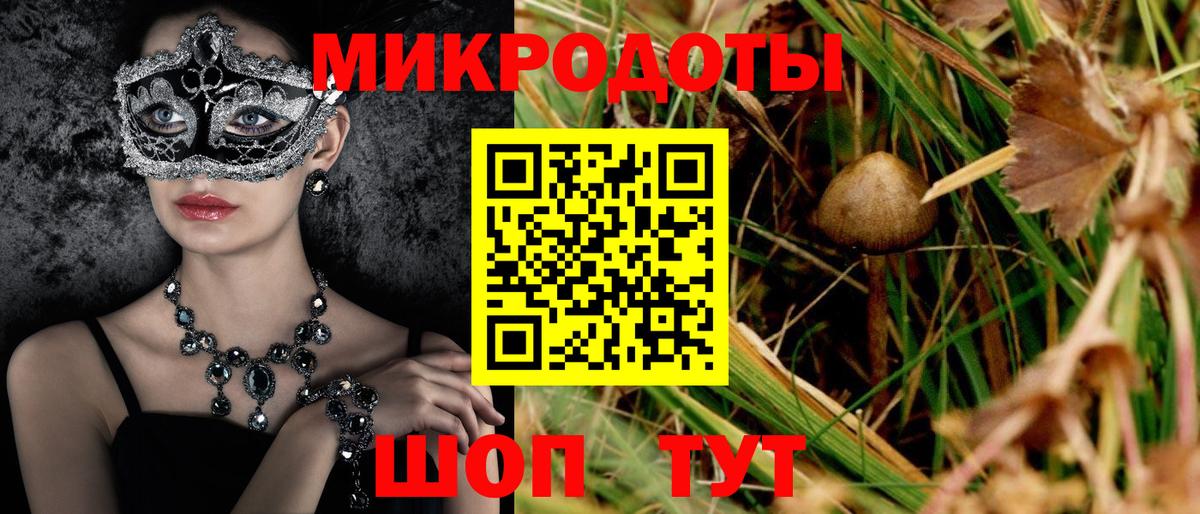 Псилоцибиновые грибы мухоморы  Вход с VPN  закладка  Партизанск 