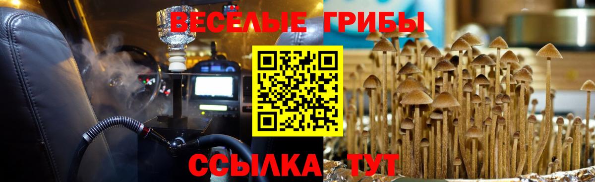 Галлюциногенные грибы мухоморы Партизанск